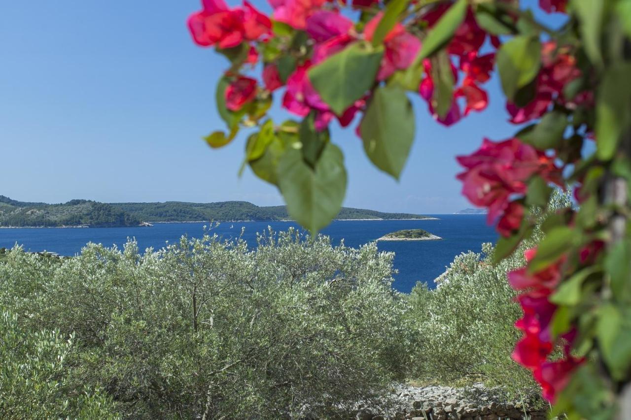 Stone House San Pelegrin Villa Vela Luka Exterior foto
