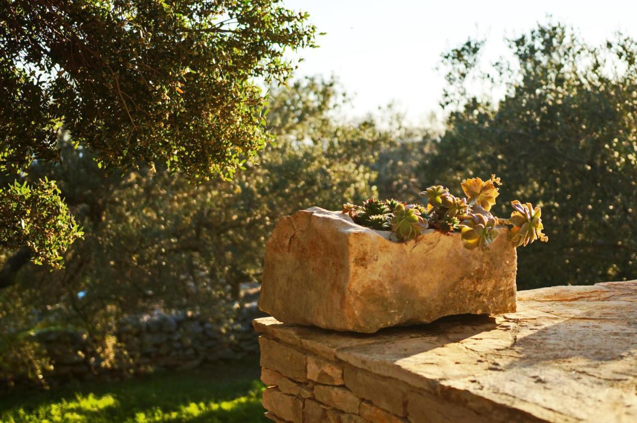 Stone House San Pelegrin Villa Vela Luka Exterior foto